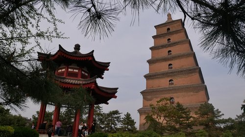 tree  architecture  pagoda