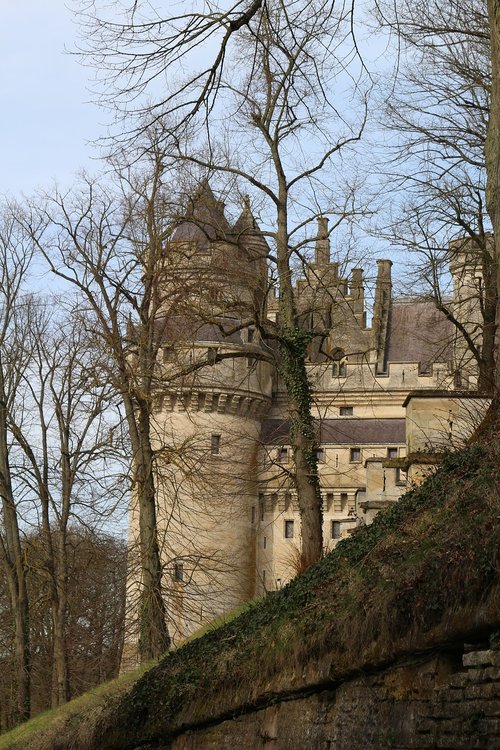 tree  castle  landscape