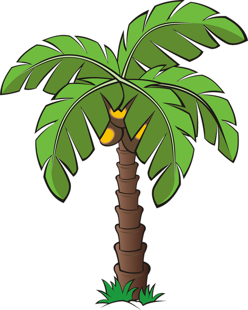 tree  trees  palm