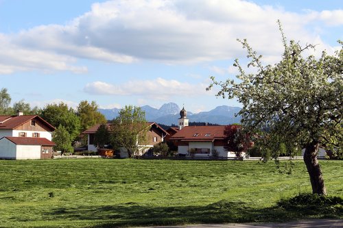 tree  house  farm