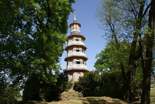 tree  tower  park