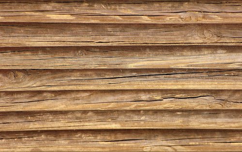 tree  wood  wooden