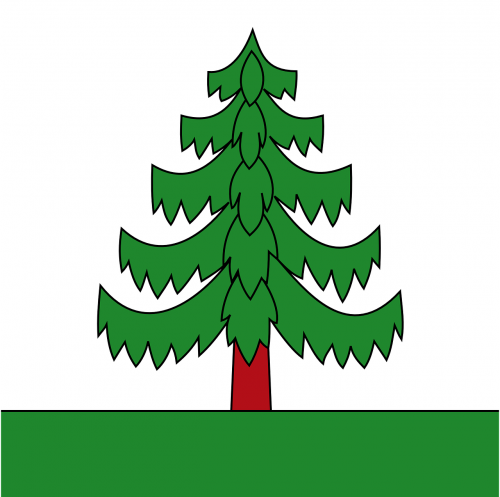 tree pine coniferous