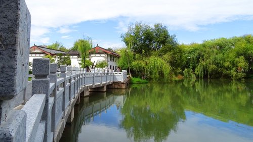 tree  reflection  bridge