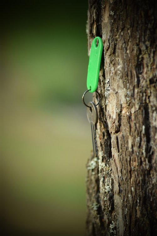 tree  key  nature