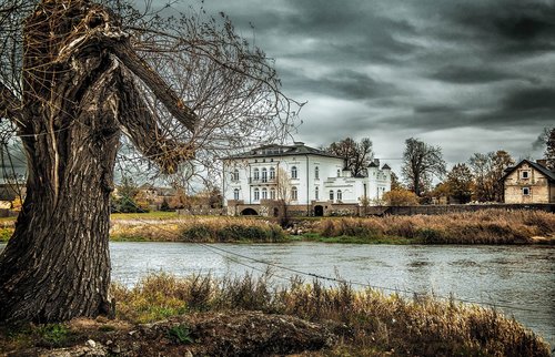 tree  river  landscape