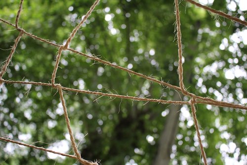 tree  rope  sky