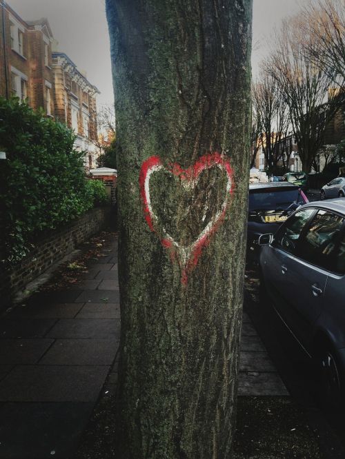 tree love heart