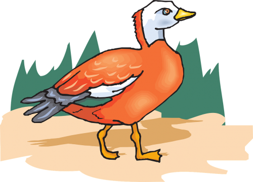 tree orange bird