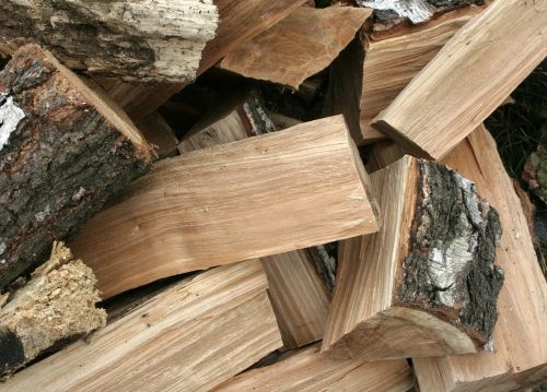 tree fuel wood