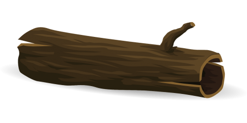 tree log fallen