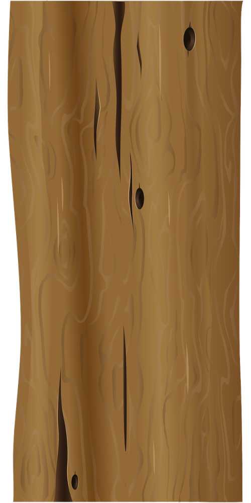 tree art trunk
