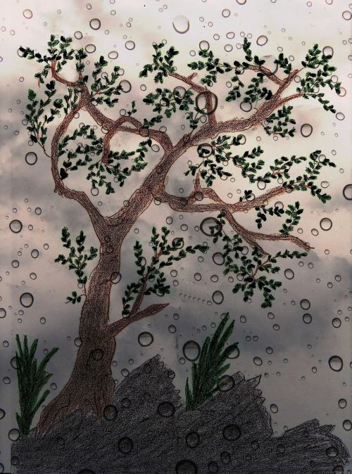 tree painted drawn