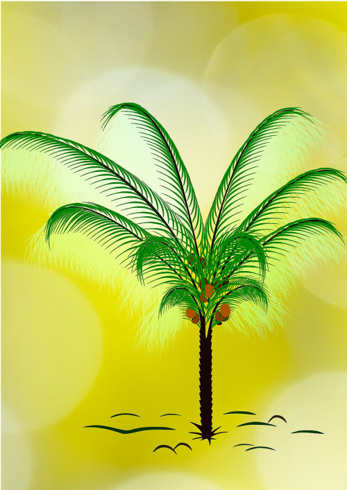 tree palm palm leaves