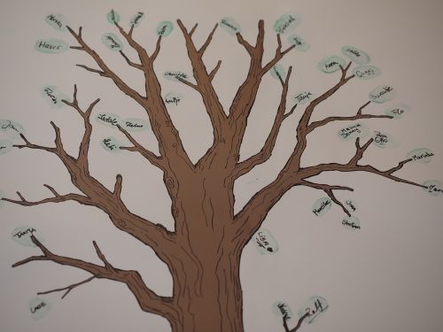 tree family tree branch