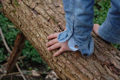 tree child's hand climb