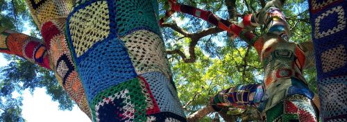 tree colorful wool