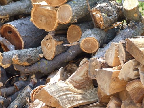 tree material wood