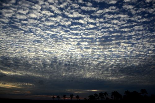 tree sky clouds