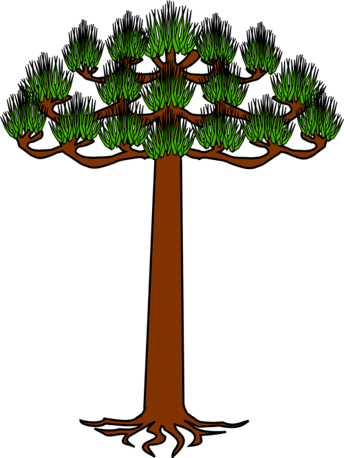 tree heraldic araucarias