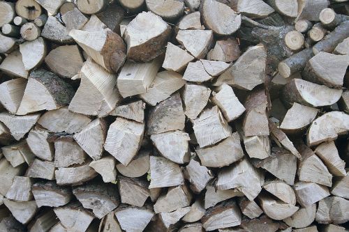 fuel tree firewood