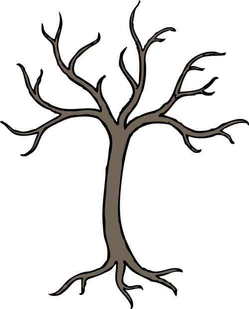 tree bare trunk