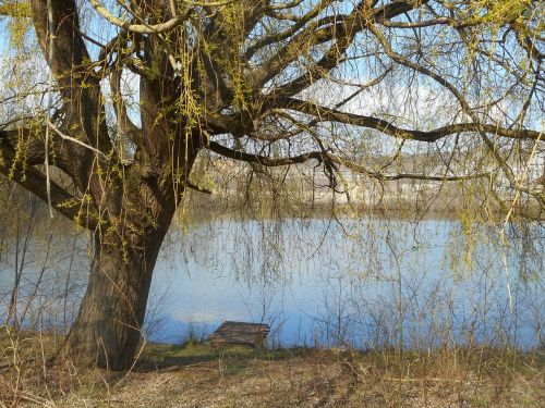 landscape river more