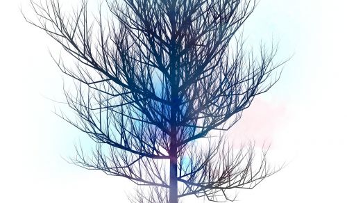 tree background art