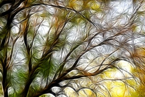Tree Art 17