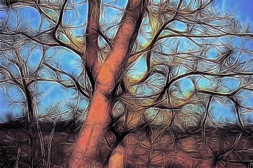 Tree Art 21