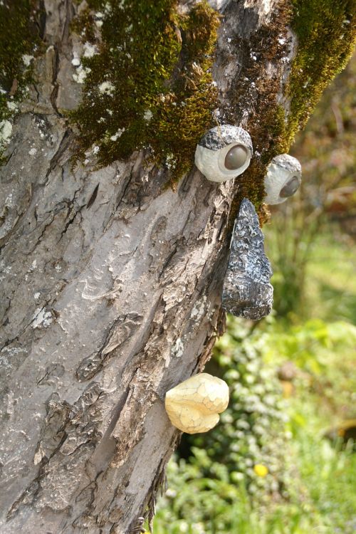 tree face tree tree spirit