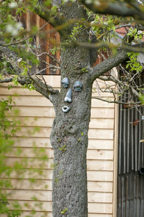 tree face original garden