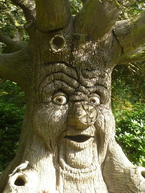 tree face face tree