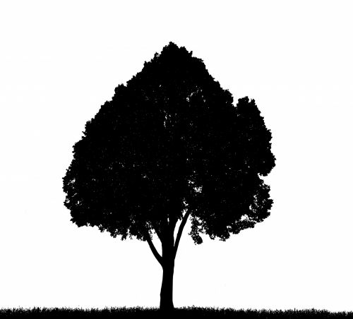 Tree, Grass Silhouette Clipart