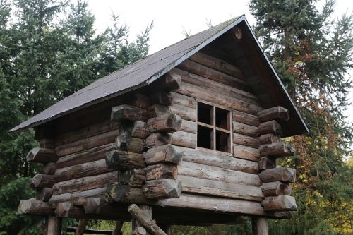 tree house wood wooden