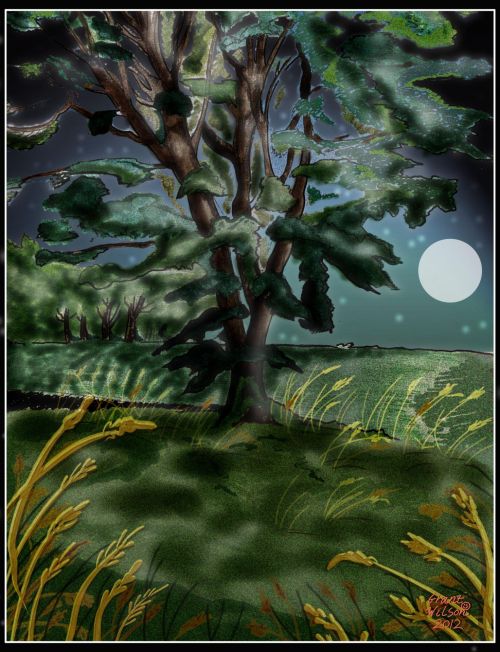 Tree In Moonlit Field