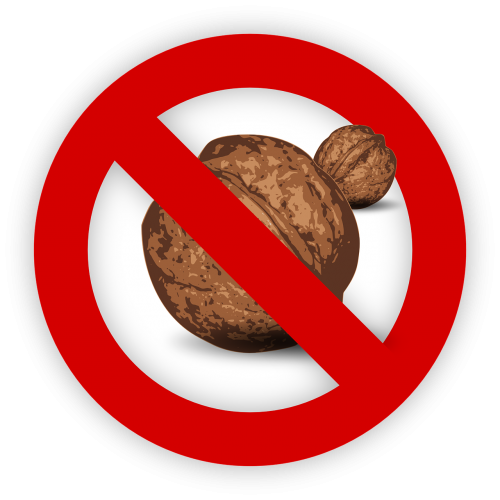 tree nut allergy food