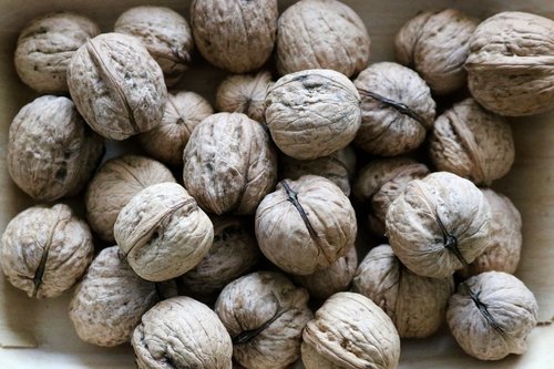 tree nuts  nuts  eat