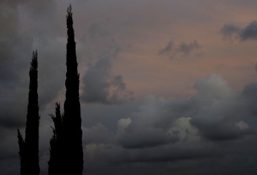 Tree Silhouette Against Storm Cloud
