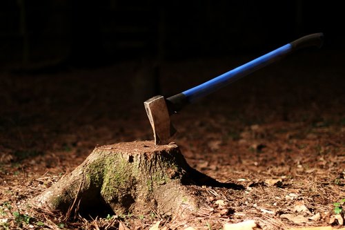 tree stump  axe  wood