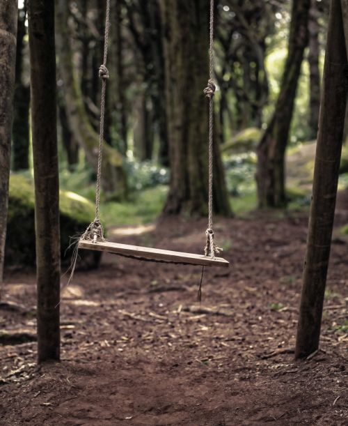 Tree Swing