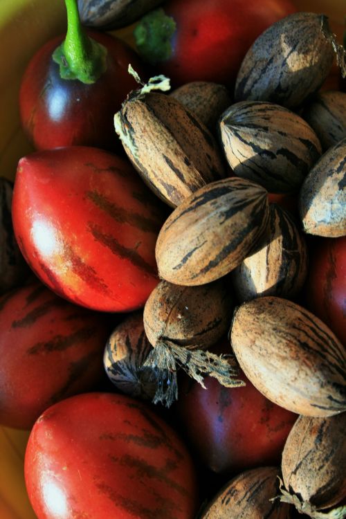Tree Tomato And Pecan Nuts