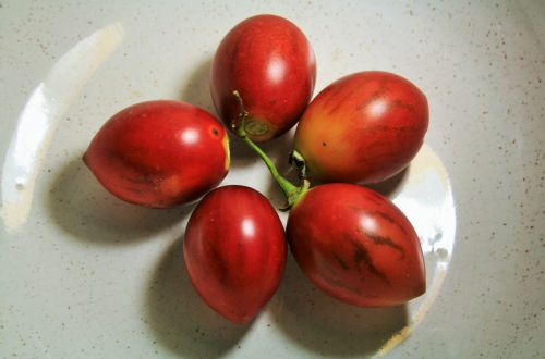 Tree Tomato Arranged In A Bowl