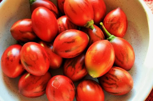 Tree Tomatoes In A Bowl