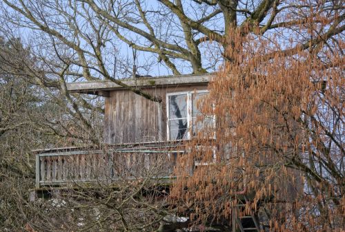 treehouse hut tree