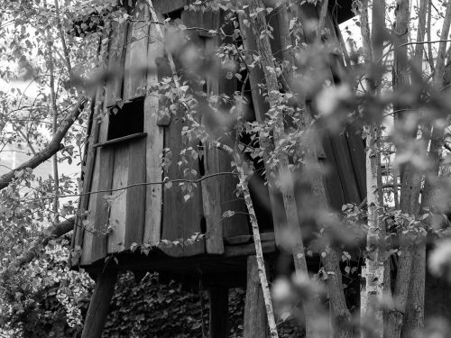treehouse nature play