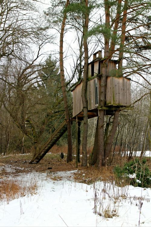 treehouse tree tree hut