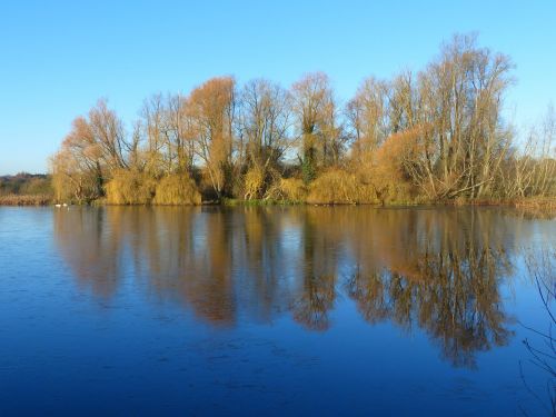 trees lake reflection