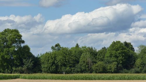 trees clouds landscape