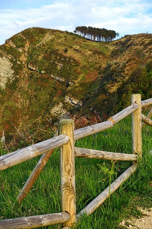 trees horizon fence